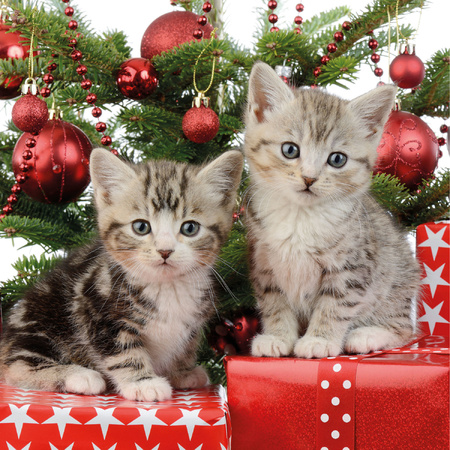 160x Kerst thema servetten met 2 kittens katten/poezen 33 x 33 cm