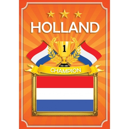 Versiering Holland pakket klein