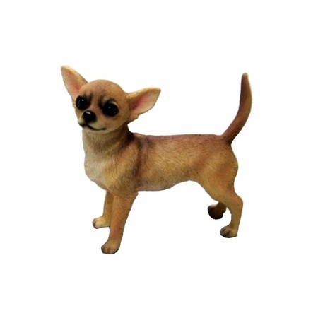 Beeldje Chihuahua bruin 10 cm