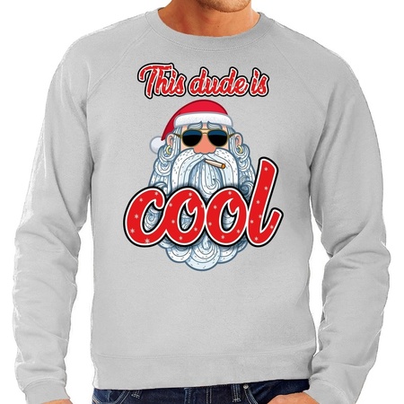 Christmas sweater this dude is cool grey for men