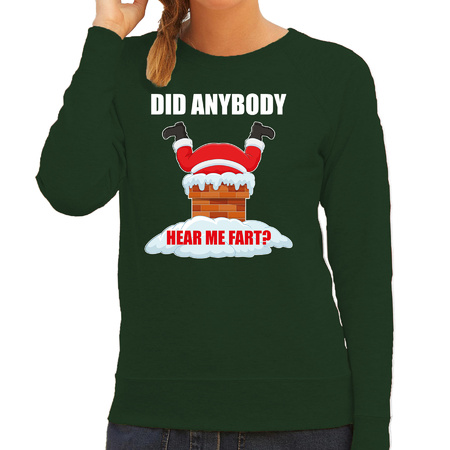 Fun Kerstsweater / outfit Did anybody hear my fart groen voor dames