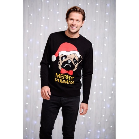 Christmas jumper with pug for men