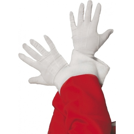 Witte feest handschoenen