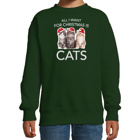 Kitten Kerst sweater / outfit All I want for Christmas is cats groen voor kinderen
