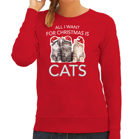 Kitten Kerst sweater / outfit All I want for Christmas is cats rood voor dames