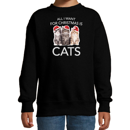 Kitten Christmas sweater All I want for Christmas is cats black for kids