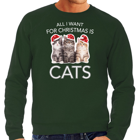 Kitten Kersttrui / outfit All I want for Christmas is cats groen voor heren
