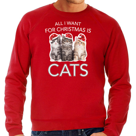 Kitten Christmas sweater All I want for Christmas is cats red for men