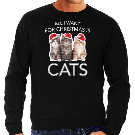 Kitten Kersttrui / outfit All I want for Christmas is cats zwart voor heren
