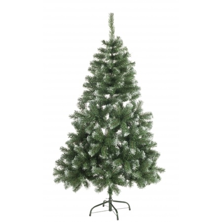 Abies kerstboom met witte uiteinden 120 cm