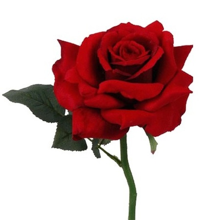 Kunstbloem Roos de luxe - rood - 30 cm - kunststof steel - decoratie bloemen