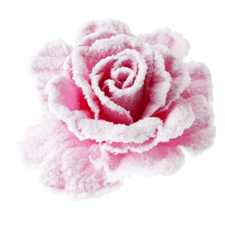 Pastel pink roses with snow on clip 10 cm