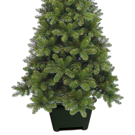 Vierkante groene kerstboom standaard voor een echte kerstboom