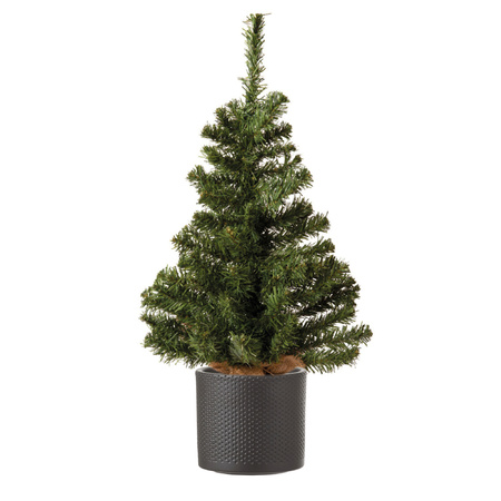 Volle mini kerstboom groen in jute zak 60 cm inclusief donkergrijze pot