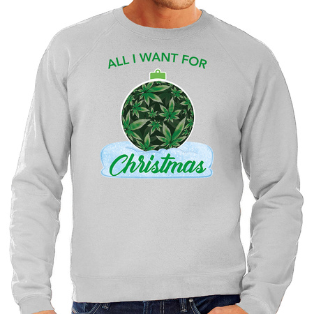 Wiet Kerstbal sweater / foute kersttrui All i want for Christmas grijs voor heren